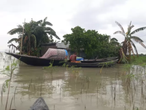 পদ্মার ঢেউয়ে