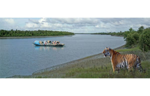 সুন্দরবন