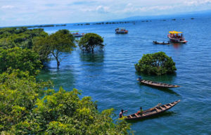 টাঙ্গুয়ার হাওর