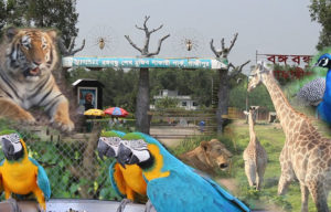 বঙ্গবন্ধু সাফারি পার্ক