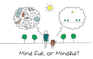 Calm Your Mind, Anchor in the Present, Ease Your Stress.